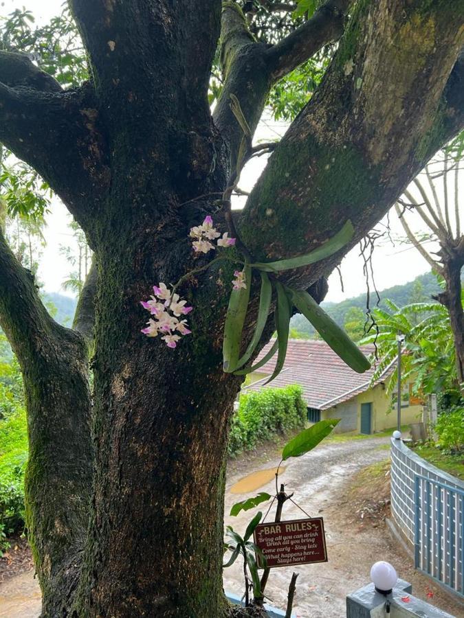 Darshan'S Home Stay Madikeri Exteriér fotografie